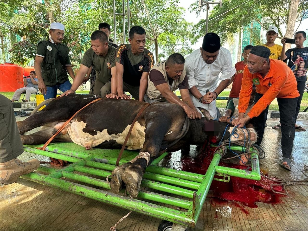 Foto berita